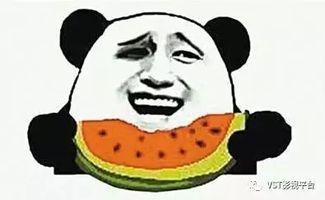 吃瓜群众娱乐大百科下载